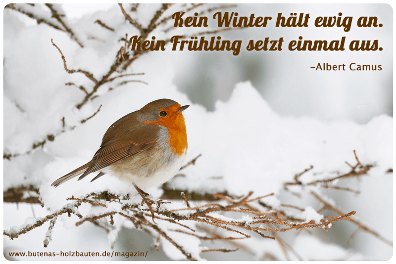 kein-winter-januar